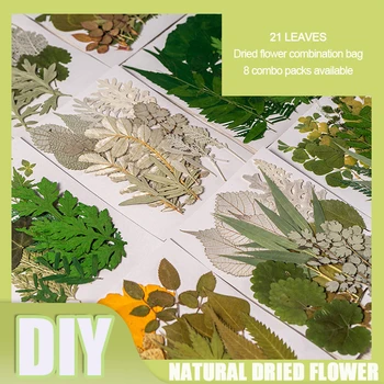 DIY Crystal Epoxidové Živice Dráha Sušené Kvety Prírodné Sušené Listy, Kvety a Zelené Rastliny pre Živicové Šperky Remeselné Materiálov